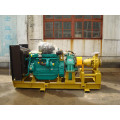 Ry High Temperature Centrifugal Hot Oil Pump